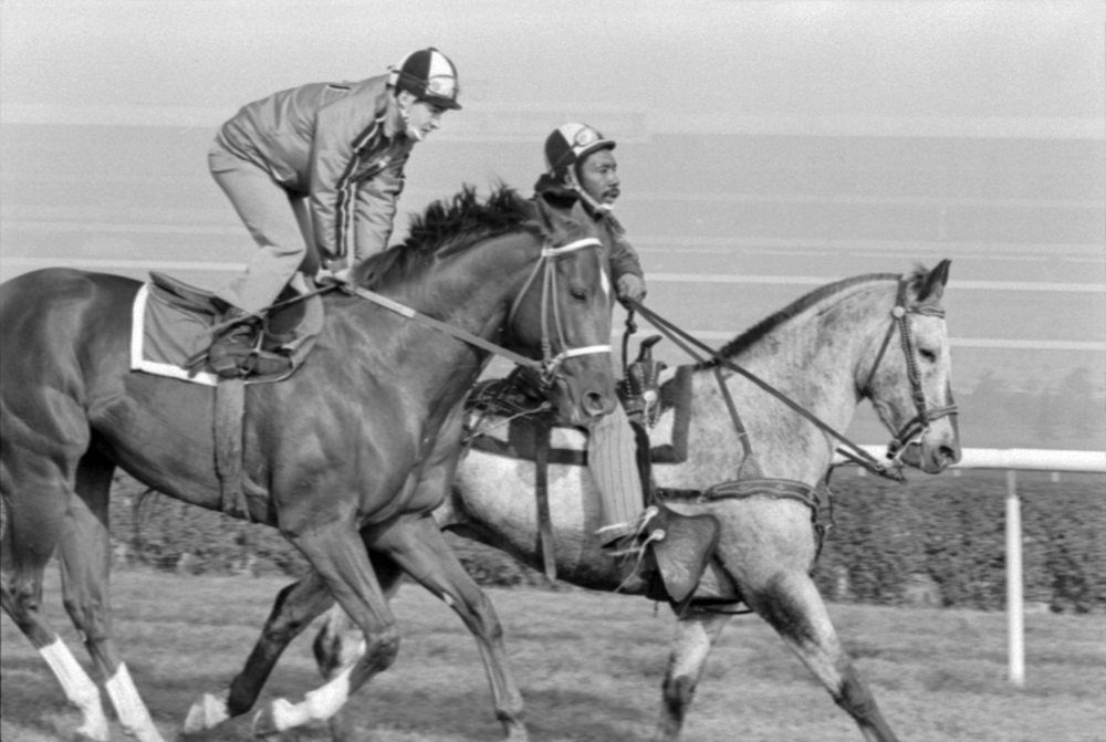 Secretariat being exercised with another pony
